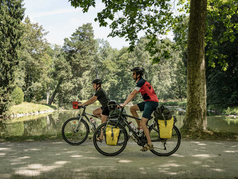 Quel velo new arrivals